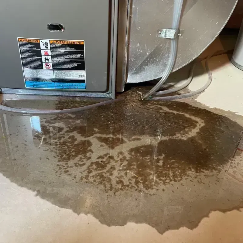 Appliance Leak Cleanup in Mead, CO